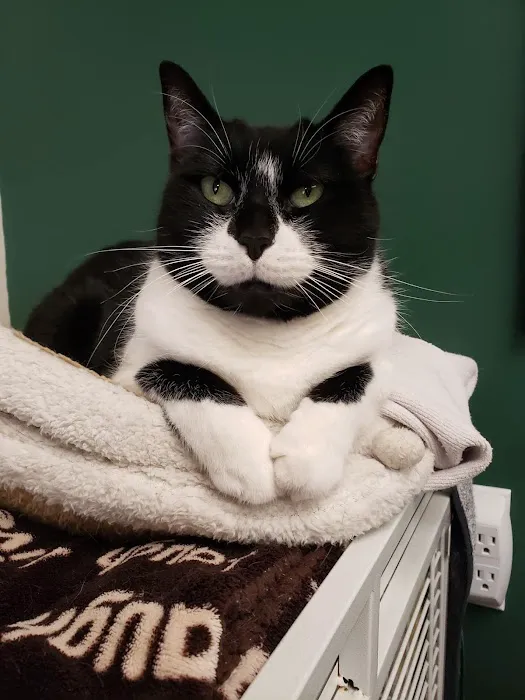 Cicero Veterinary Clinic 7