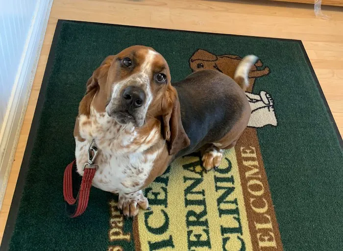 Cicero Veterinary Clinic 6
