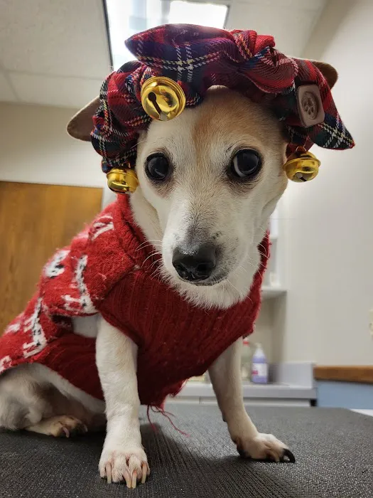 Suburban Veterinary Clinic 12