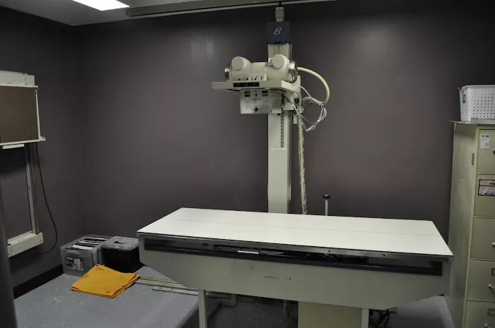 Covenant Animal Clinic - Bellbrook 7