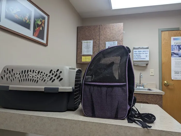 Dayton South Veterinary Clinic 9