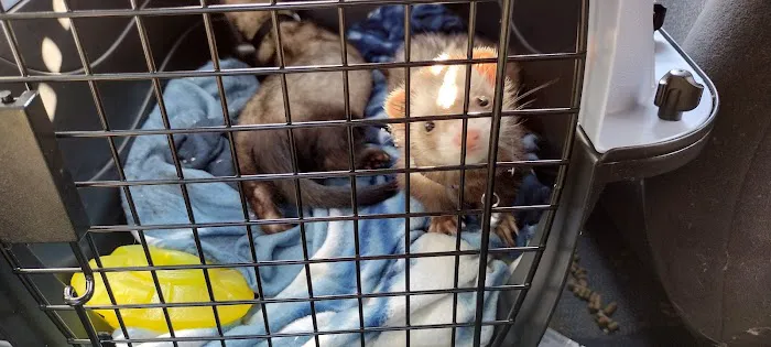 Dayton South Veterinary Clinic 1