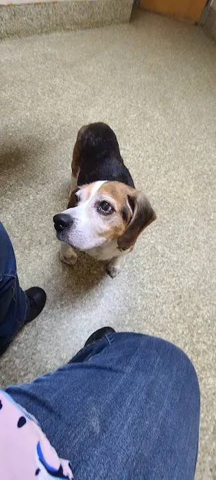 Dayton South Veterinary Clinic 3