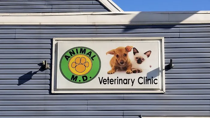 Animal MD Michelle Bahns DVM 1