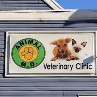 Animal MD Michelle Bahns DVM ico