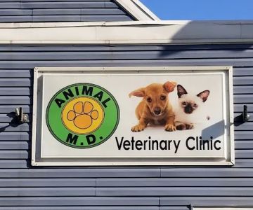 Animal MD Michelle Bahns DVM