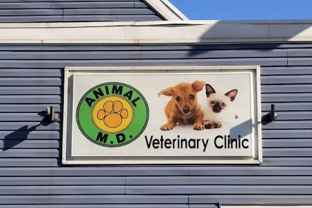 Animal MD Michelle Bahns DVM