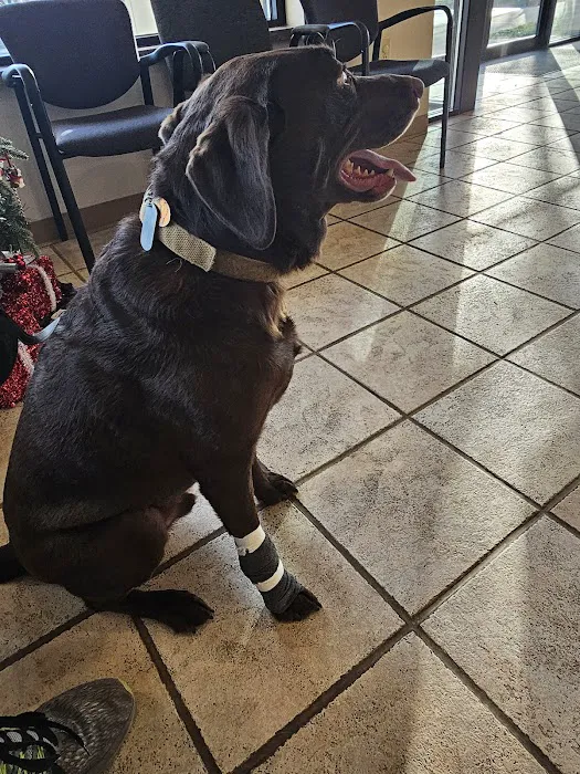 Kettering Animal Hospital 3