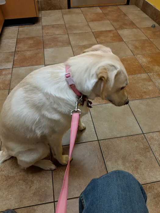 Banfield Pet Hospital 5