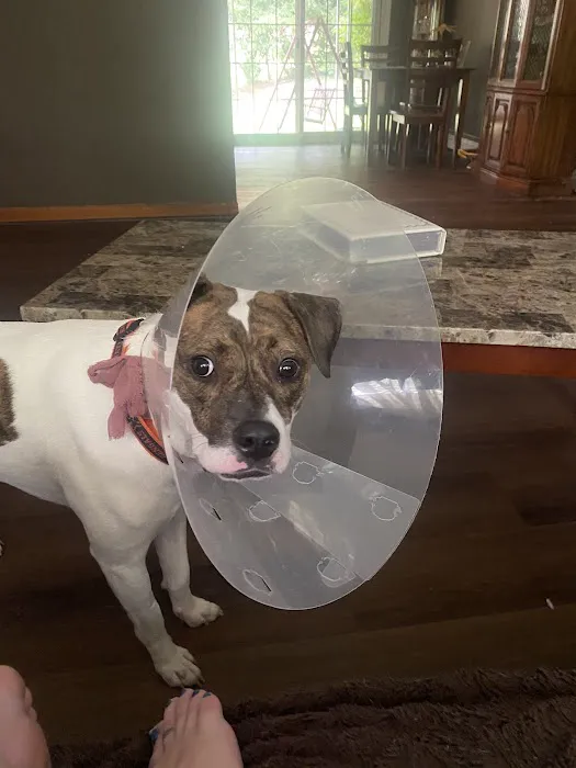 Banfield Pet Hospital 4