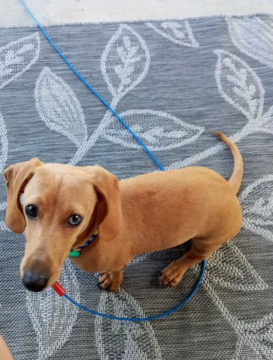 Banfield Pet Hospital 2
