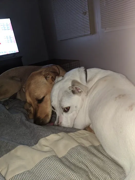 Banfield Pet Hospital 3
