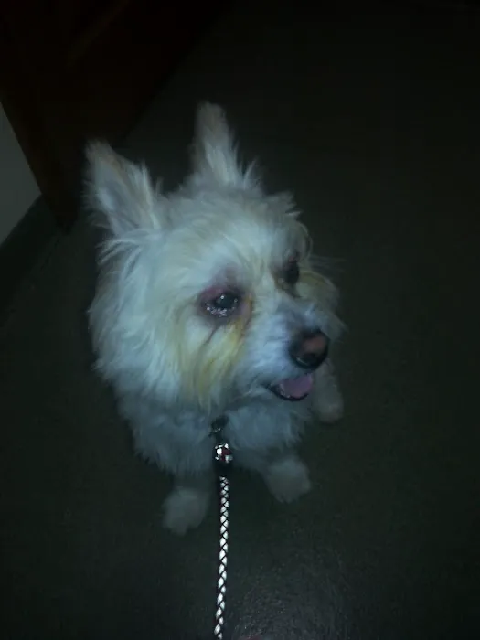 Buck Creek Veterinary Clinic 7