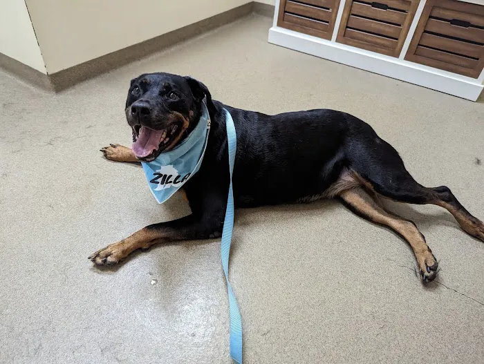 Buck Creek Veterinary Clinic 6