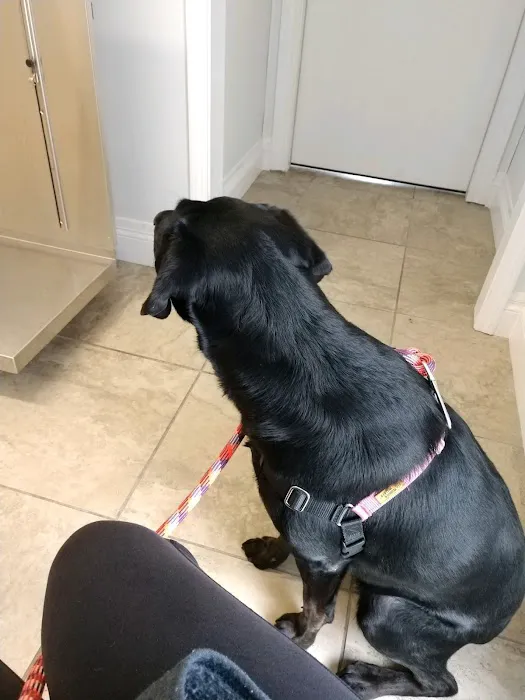 New Castle Animal Hospital: Boe Jamie A DVM 1