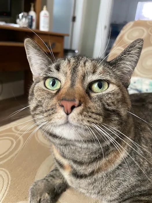 New Castle Animal Hospital 12