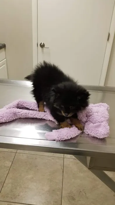 New Castle Animal Hospital 12