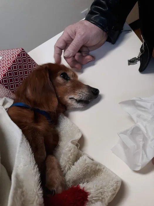 Pat's Pet Clinic 12