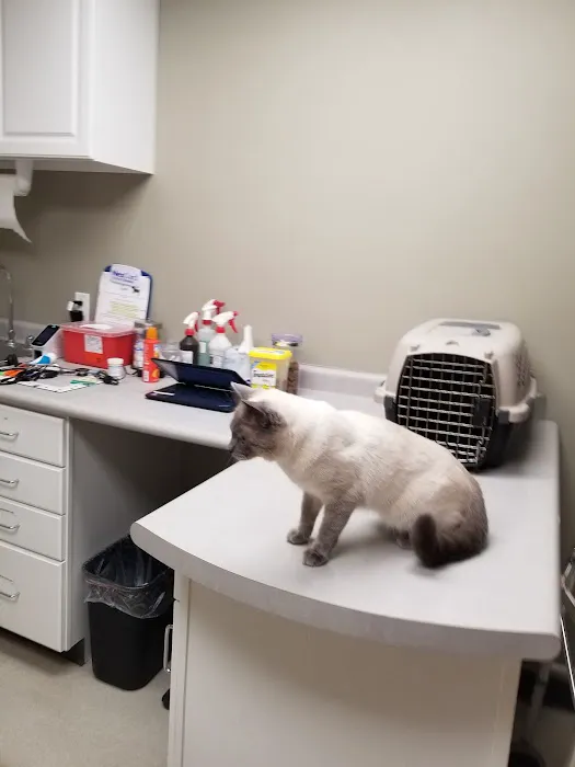 Country Acre Animal Clinic Inc 3