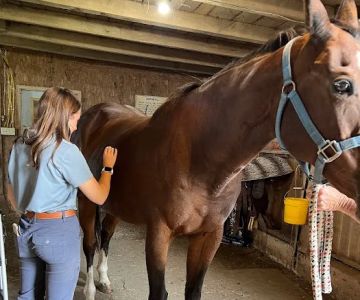 SKILLMAN Veterinary Services- Equine Veterinarian Clinic