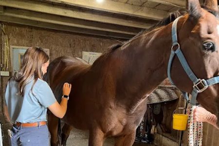SKILLMAN Veterinary Services- Equine Veterinarian Clinic