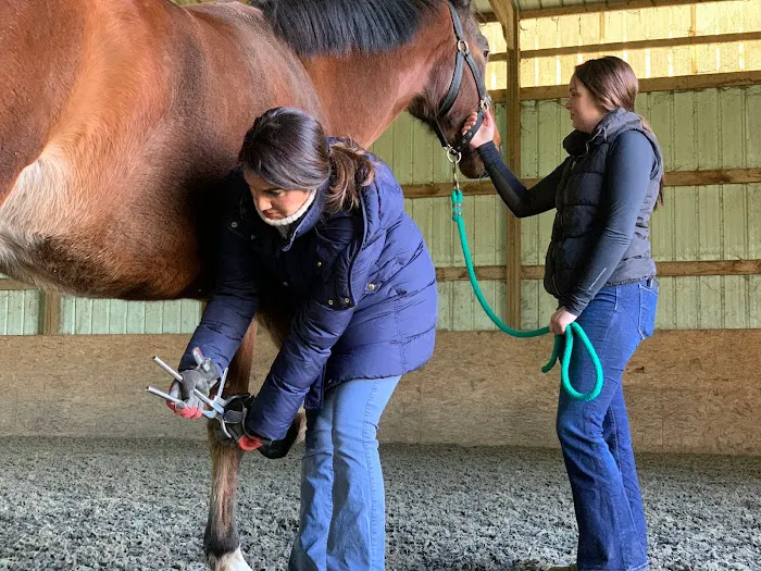 SKILLMAN Veterinary Services- Equine Veterinarian Clinic 12