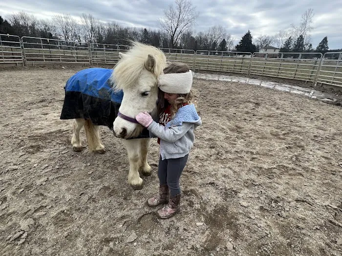 SKILLMAN Veterinary Services- Equine Veterinarian Clinic 12