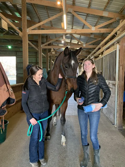 SKILLMAN Veterinary Services- Equine Veterinarian Clinic 12