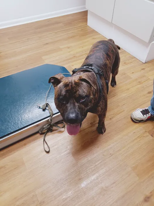 Devonshire Veterinary Clinic: Smiley Aaron DVM 12