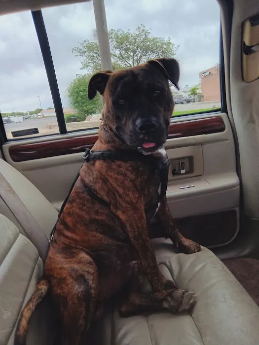 Devonshire Veterinary Clinic: Smiley Aaron DVM 12