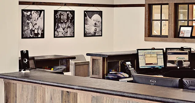 Devonshire Veterinary Clinic 12