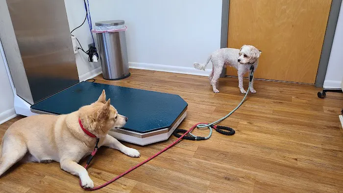 Devonshire Veterinary Clinic 12