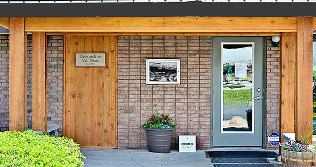 Devonshire Veterinary Clinic 12