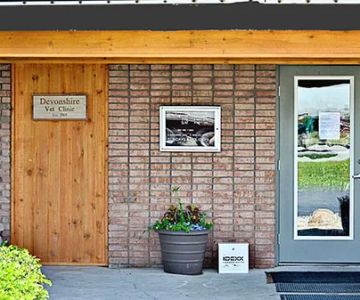 Devonshire Veterinary Clinic