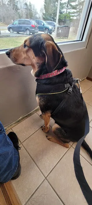 Lapel Animal Clinic 7