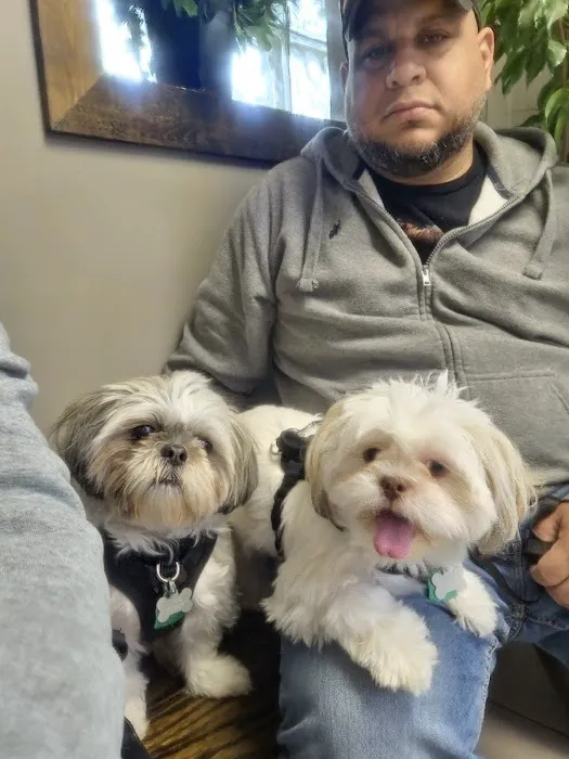 Lapel Animal Clinic 9