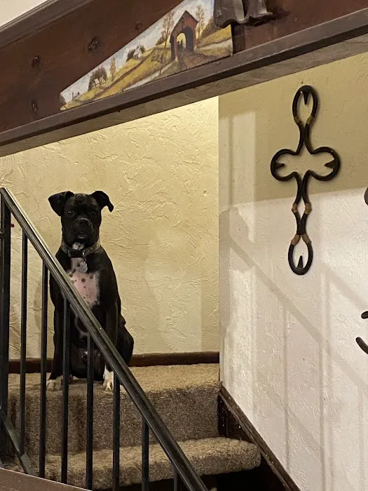 Middletown Animal Hospital 4
