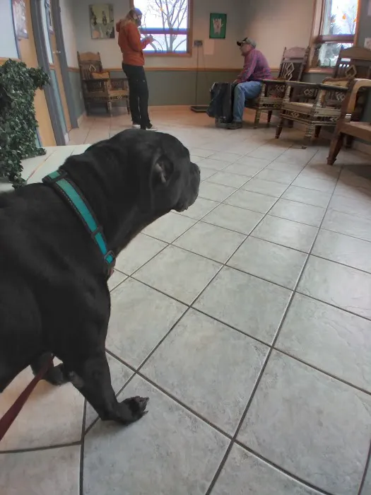 Middletown Animal Hospital 5