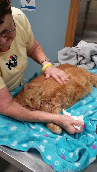 Middletown Animal Hospital 7