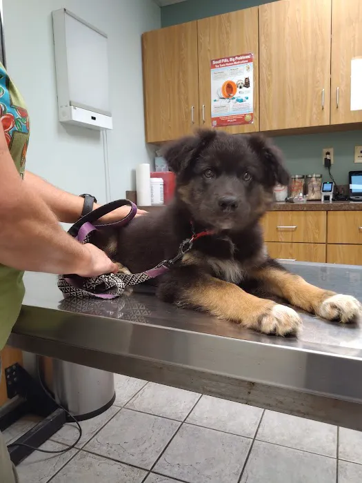 Middletown Animal Hospital 1