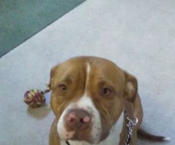 Tri-County Veterinary Clinic