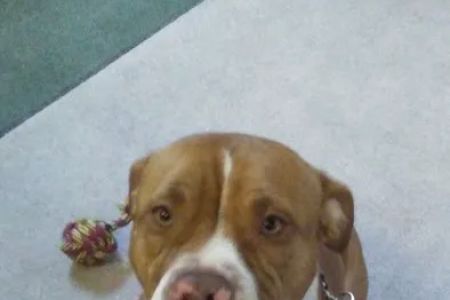 Tri-County Veterinary Clinic