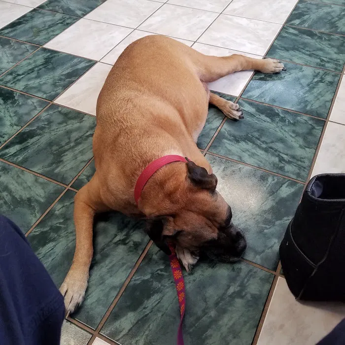 Tri-County Veterinary Clinic 12