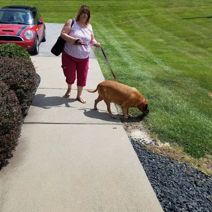 Tri-County Veterinary Clinic 12