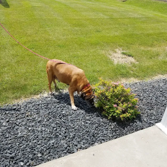 Tri-County Veterinary Clinic 12