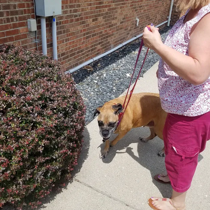 Tri-County Veterinary Clinic 12
