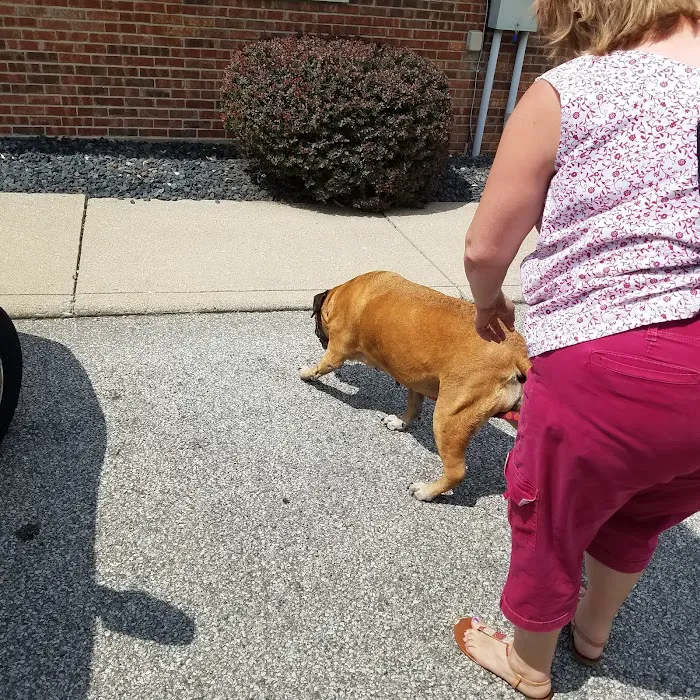 Tri-County Veterinary Clinic 12