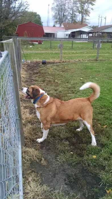 St Francis Pet Hospital 12