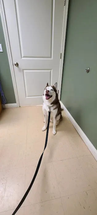 Jackson County Animal Clinic 1