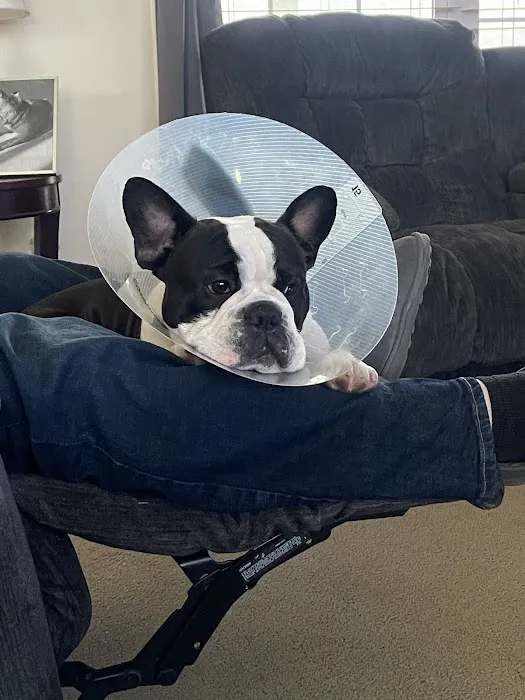 Jackson County Animal Clinic 4